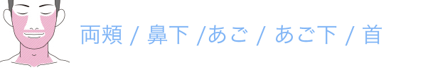 両頬 / 鼻下 / あご / あご下 / 首（発毛部位のみ）